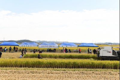 2017년 화성쌀 가을걷이 축제 D-93.JPG