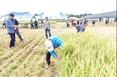 2017년 화성쌀 가을걷이 축제 D-223.JPG