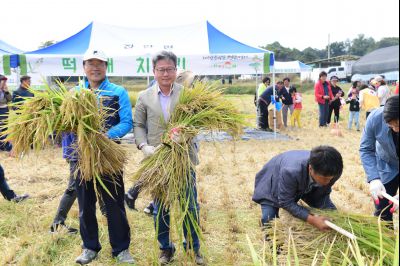 2017년 화성쌀 가을걷이 축제 D-224.JPG
