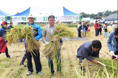 2017년 화성쌀 가을걷이 축제 D-225.JPG
