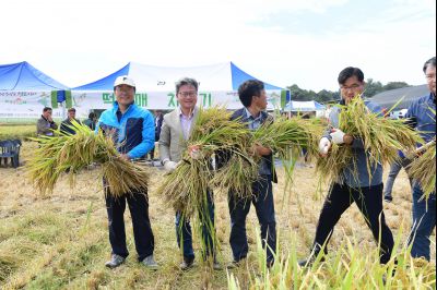 2017년 화성쌀 가을걷이 축제 D-228.JPG