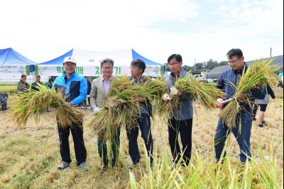 2017년 화성쌀 가을걷이 축제 D-229.JPG