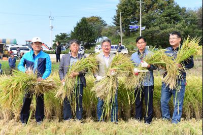 2017년 화성쌀 가을걷이 축제 D-237.JPG