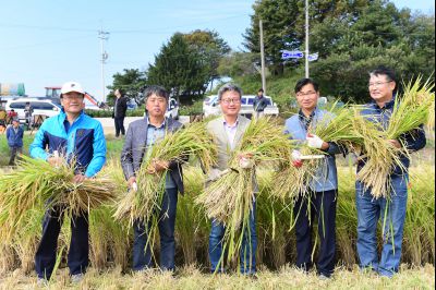 2017년 화성쌀 가을걷이 축제 D-238.JPG