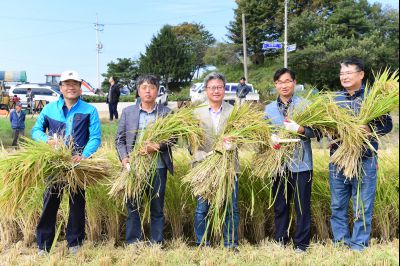 2017년 화성쌀 가을걷이 축제 D-239.JPG