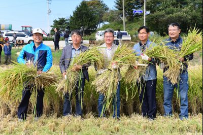 2017년 화성쌀 가을걷이 축제 D-241.JPG