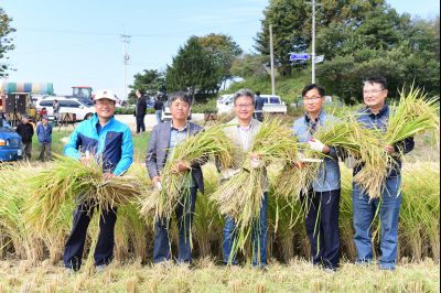 2017년 화성쌀 가을걷이 축제 D-242.JPG