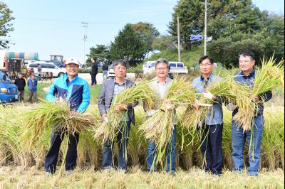 2017년 화성쌀 가을걷이 축제 D-243.JPG