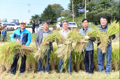2017년 화성쌀 가을걷이 축제 D-246.JPG