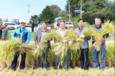 2017년 화성쌀 가을걷이 축제 D-247.JPG