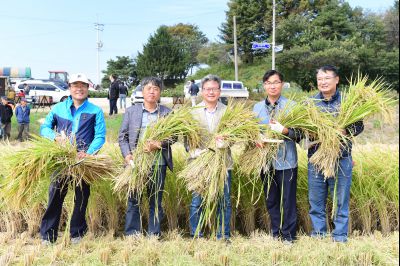 2017년 화성쌀 가을걷이 축제 D-248.JPG