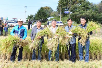 2017년 화성쌀 가을걷이 축제 D-249.JPG