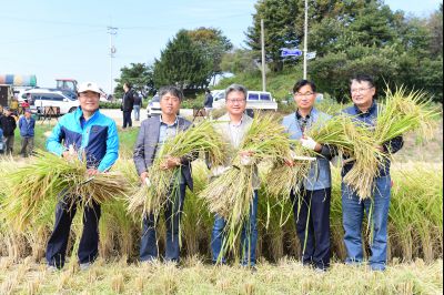 2017년 화성쌀 가을걷이 축제 D-250.JPG