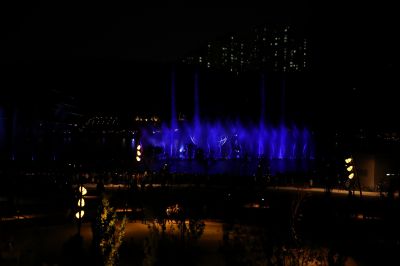 동탄호수공원 찾아가는 문화공연 및 루나분수쇼 A-86.JPG