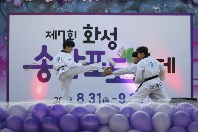 2019 제7회 송산포도축제 Y-53.JPG