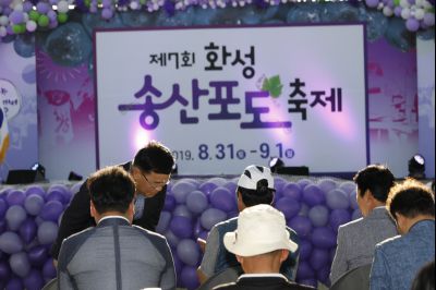 2019 제7회 송산포도축제 Y-60.JPG
