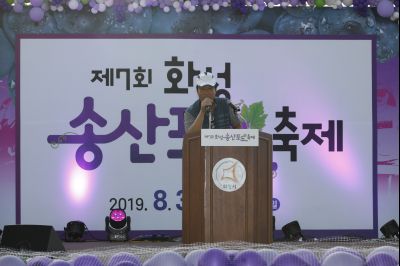 2019 제7회 송산포도축제 Y-61.JPG