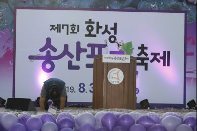 2019 제7회 송산포도축제 Y-62.JPG