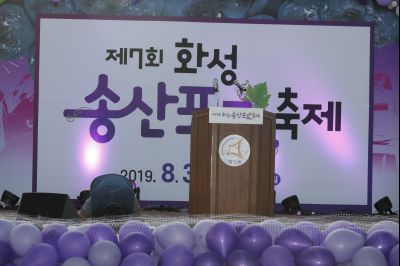 2019 제7회 송산포도축제 Y-63.JPG