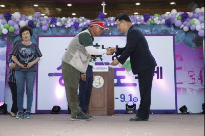 2019 제7회 송산포도축제 Y-68.JPG