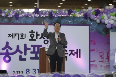2019 제7회 송산포도축제 Y-89.JPG