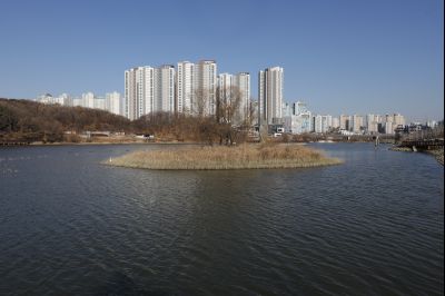 동탄호수공원 풍경 Y-6.JPG