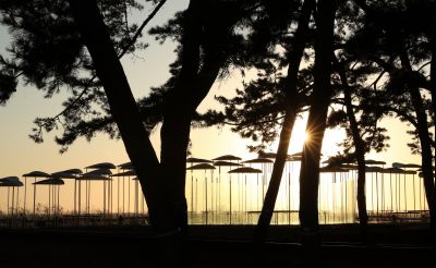 궁평리 해변솔밭 및 낙조, 오솔 파빌리온 체험형 예술작품 A-1.JPG
