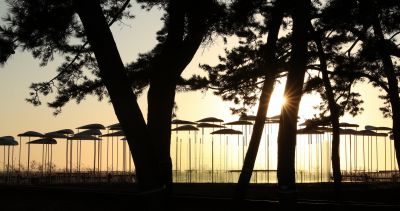 궁평리 해변솔밭 및 낙조, 오솔 파빌리온 체험형 예술작품 A-2.JPG