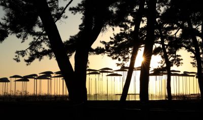 궁평리 해변솔밭 및 낙조, 오솔 파빌리온 체험형 예술작품 A-3.JPG