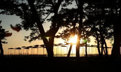 궁평리 해변솔밭 및 낙조, 오솔 파빌리온 체험형 예술작품 A-4.JPG
