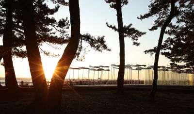 궁평리 해변솔밭 및 낙조, 오솔 파빌리온 체험형 예술작품 A-19.JPG