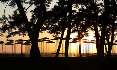 궁평리 해변솔밭 및 낙조, 오솔 파빌리온 체험형 예술작품 A-22.JPG