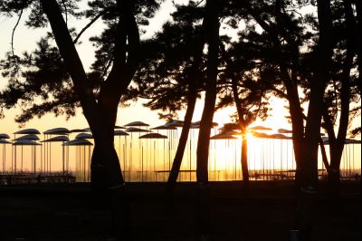 궁평리 해변솔밭 및 낙조, 오솔 파빌리온 체험형 예술작품 A-23.JPG