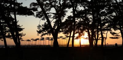 궁평리 해변솔밭 및 낙조, 오솔 파빌리온 체험형 예술작품 A-27.JPG