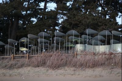 궁평리 해변솔밭 및 낙조, 오솔 파빌리온 체험형 예술작품 A-49.JPG