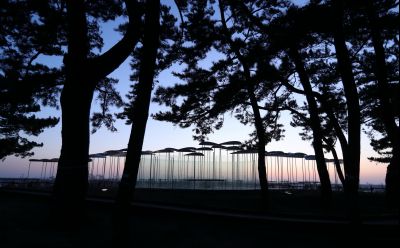 궁평리 해변솔밭 및 낙조, 오솔 파빌리온 체험형 예술작품 A-94.JPG