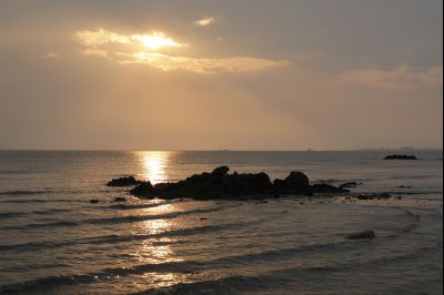 궁평리 해안 풍경 Y-6.jpg