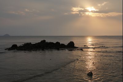 궁평리 해안 풍경 Y-7.jpg