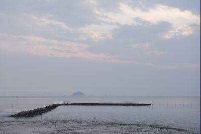 궁평리 해안 풍경 Y-10.jpg