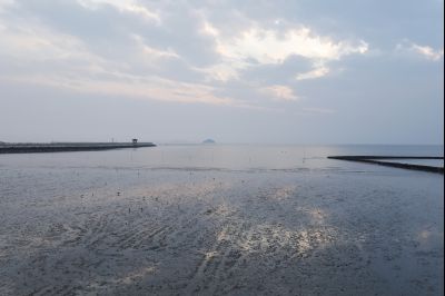 궁평리 해안 풍경 Y-11.jpg