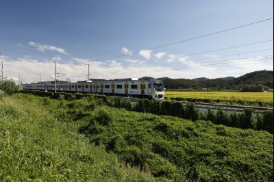 수인선 열차 Y-1.JPG