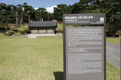 신빈김씨묘역 소나무 풍경 Y-3.JPG