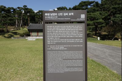 신빈김씨묘역 소나무 풍경 Y-4.JPG