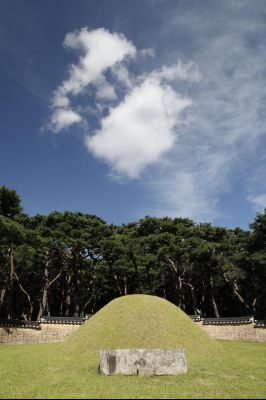신빈김씨묘역 소나무 풍경 Y-26.JPG