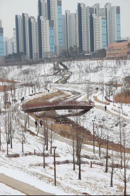 동탄호수길 겨울풍경 A-19.JPG