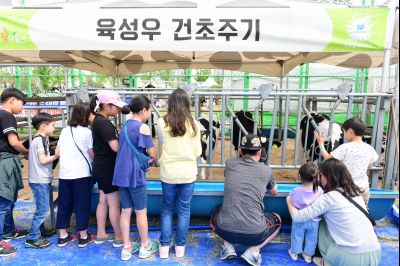 2019 우유의 날 밀크업 페스티벌  D-8.JPG