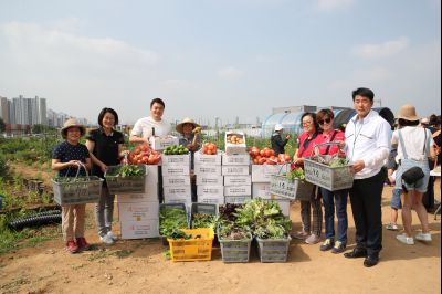 2019년 도시농부학교 텃밭요리경진대회 및 사랑의 농산물 나눔행사 A-132.JPG