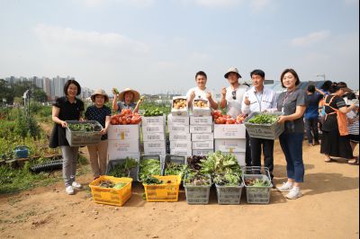 2019년 도시농부학교 텃밭요리경진대회 및 사랑의 농산물 나눔행사 A-134.JPG