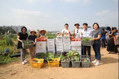 2019년 도시농부학교 텃밭요리경진대회 및 사랑의 농산물 나눔행사 A-136.JPG