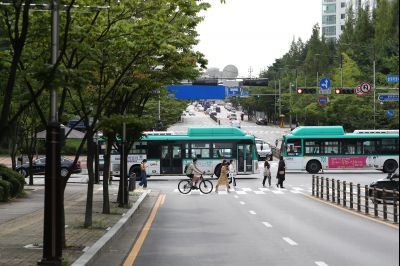 노작로 및 솔빛마을 사거리 사거리,동탄2동 행정복지센터 앞 정류장, 그늘막, H16 동탄순환버스 운행현황 A-53.JPG